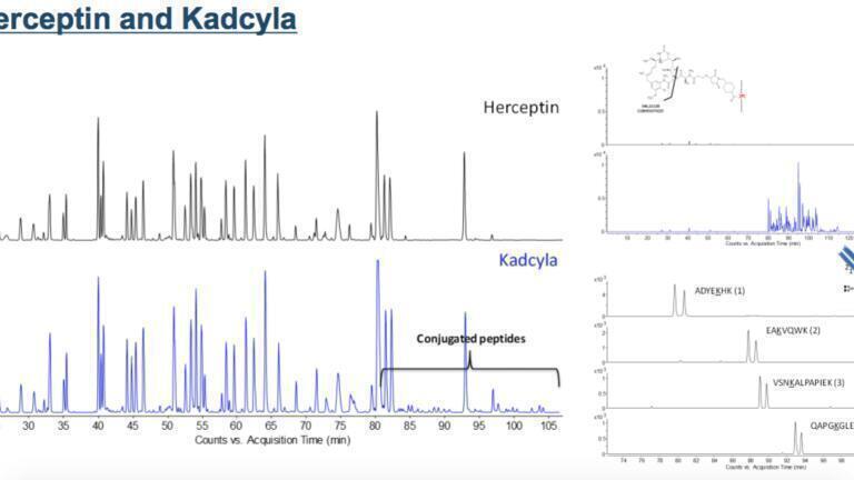 Figure 6 : Herceptin and kadcyla